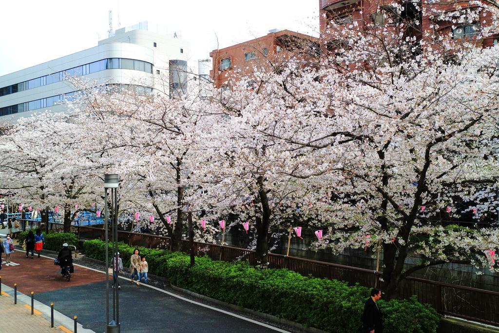 Coto Tokyo Shibuya Apartment Exterior photo